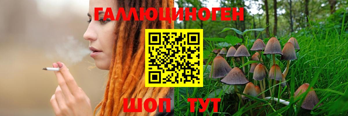 Псилоцибиновые грибы GOLDEN TEACHER  Вход с VPN  Тавда 